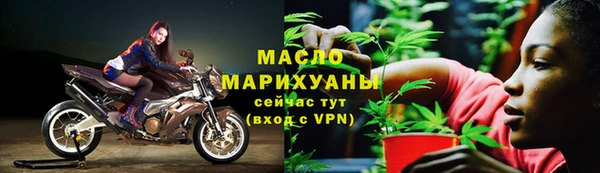 молекула духа Арсеньев