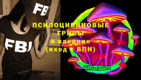 spice Горняк