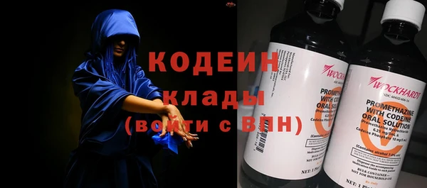молекула духа Арсеньев