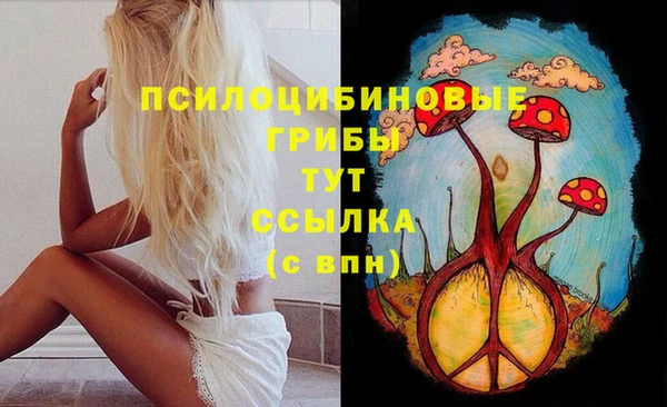молекула духа Арсеньев