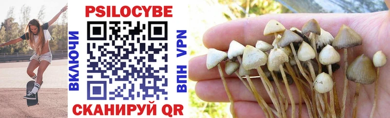 Псилоцибиновые грибы MAGIC MUSHROOMS  Сосновоборск 
